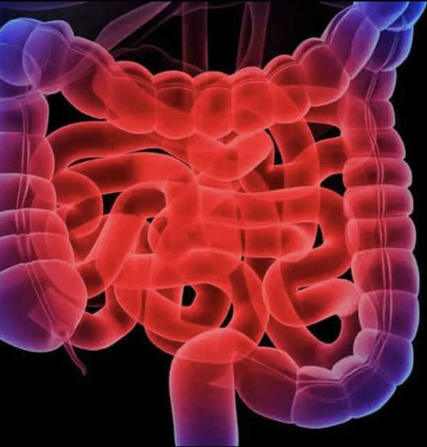 2025 NUH IBD